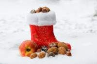 Nikolausstiefel im Schnee gefüllt mit Nüssen
